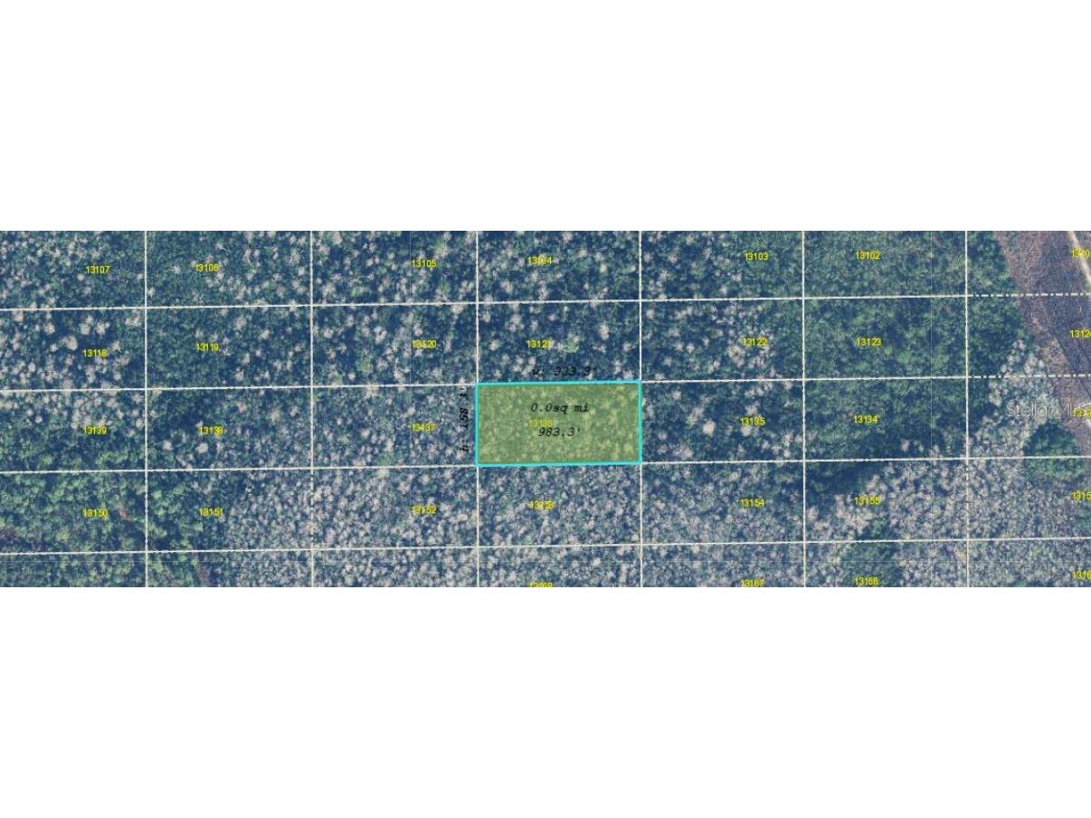 Dill Road Orlando FL 32820 O6271703 image4