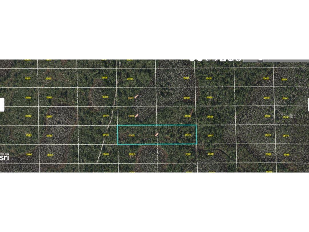 Dill Road Orlando FL 32820 O6272100 image4