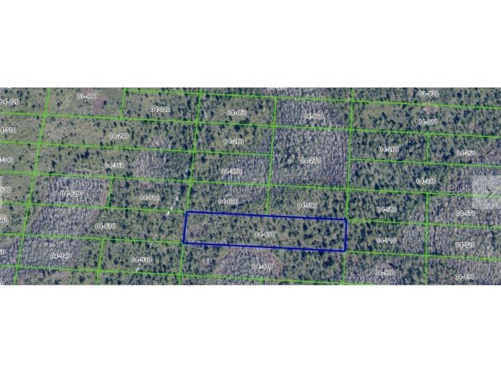 Dill Road Orlando FL 32820 O6272100 image6