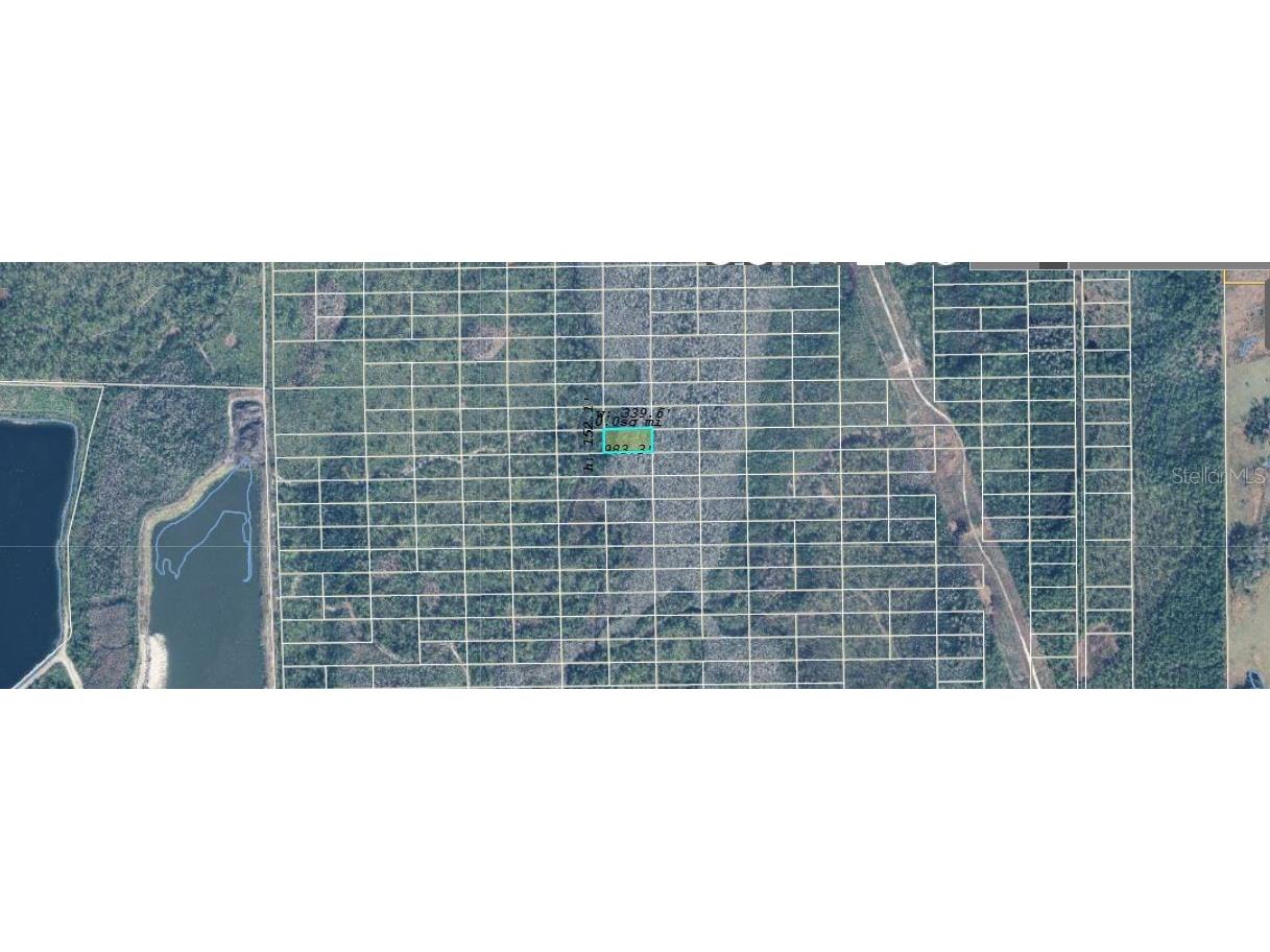 Dill Road Orlando FL 32820 O6272119 image3