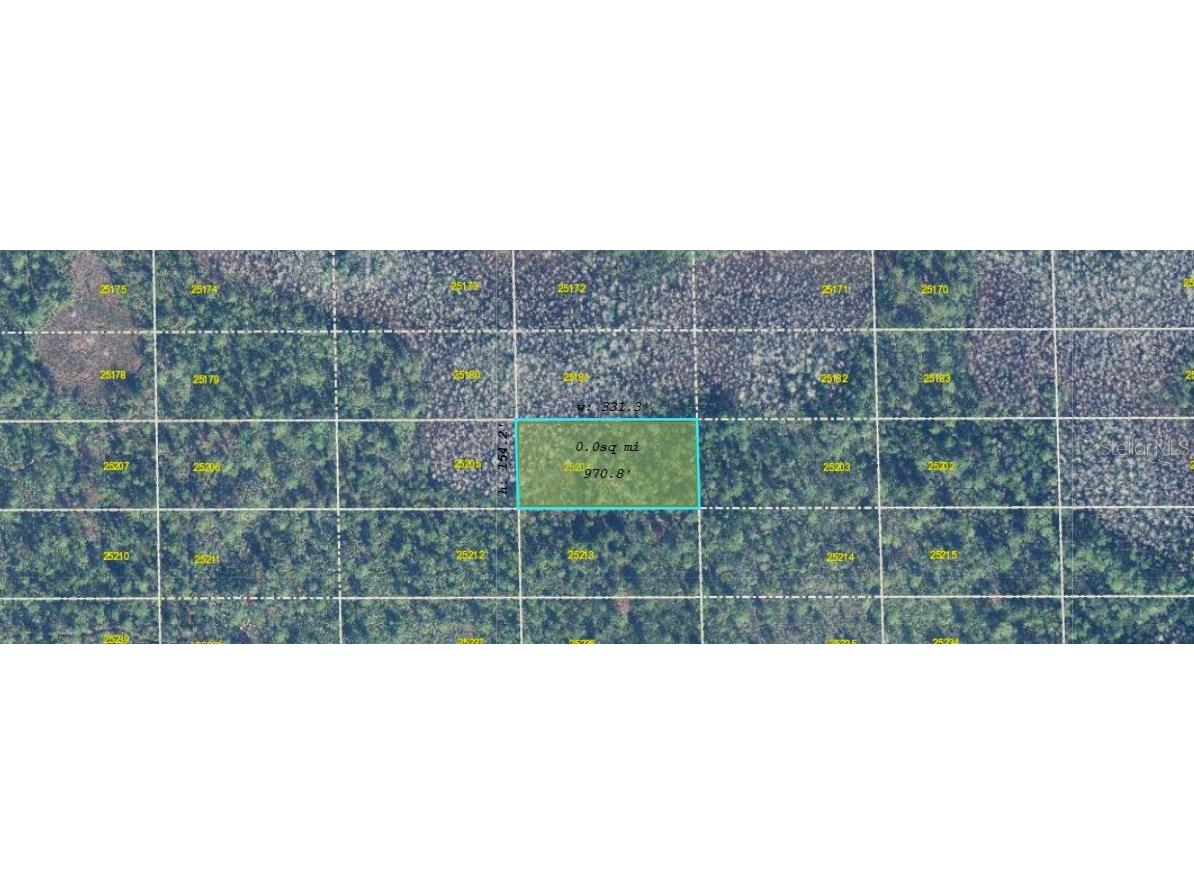 Dill Road Orlando FL 32820 O6273098 image3