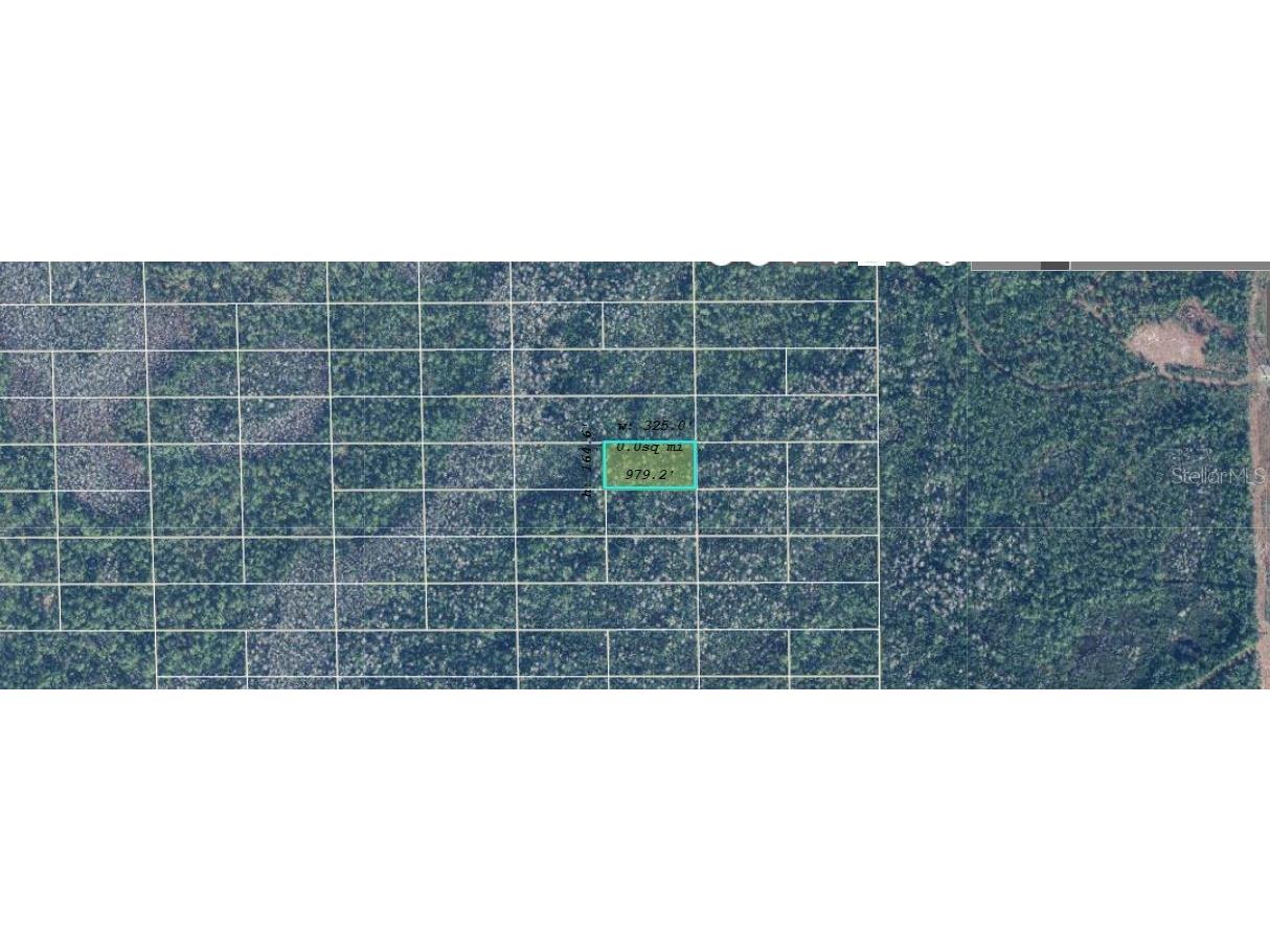 Dill Road Orlando FL 32820 O6273099 image2