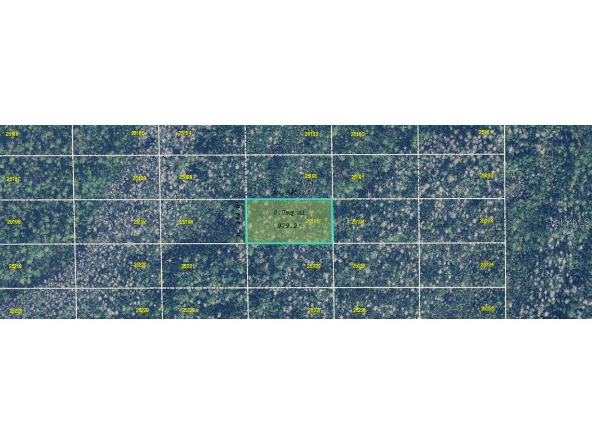 Dill Road Orlando FL 32820 O6273099 image3