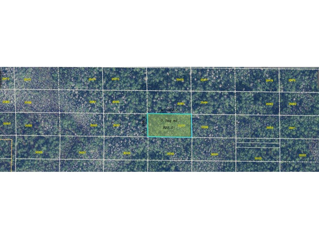 Dill Road Orlando FL 32820 O6273445 image3