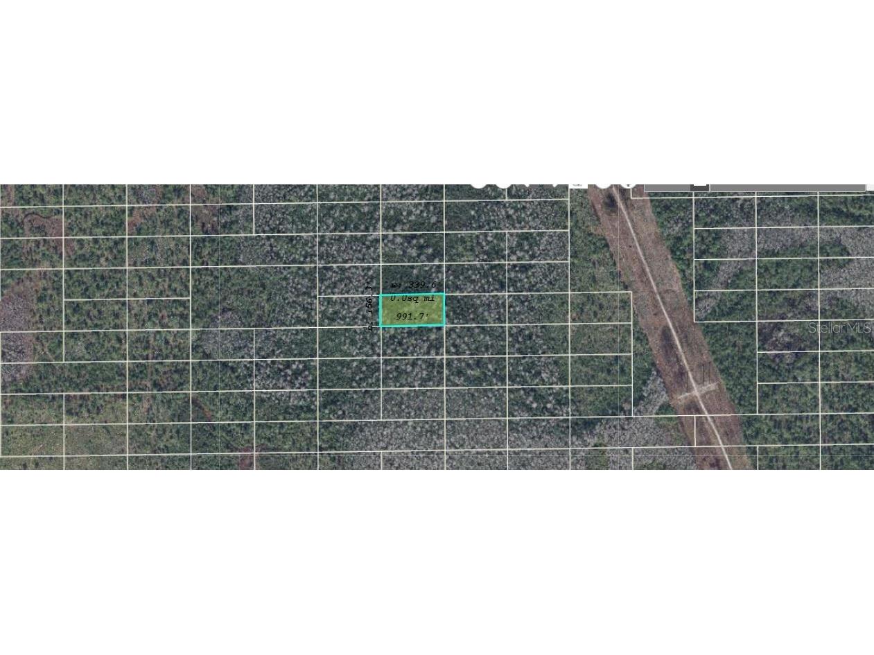 Dill Road Orlando FL 32820 O6300305 image1