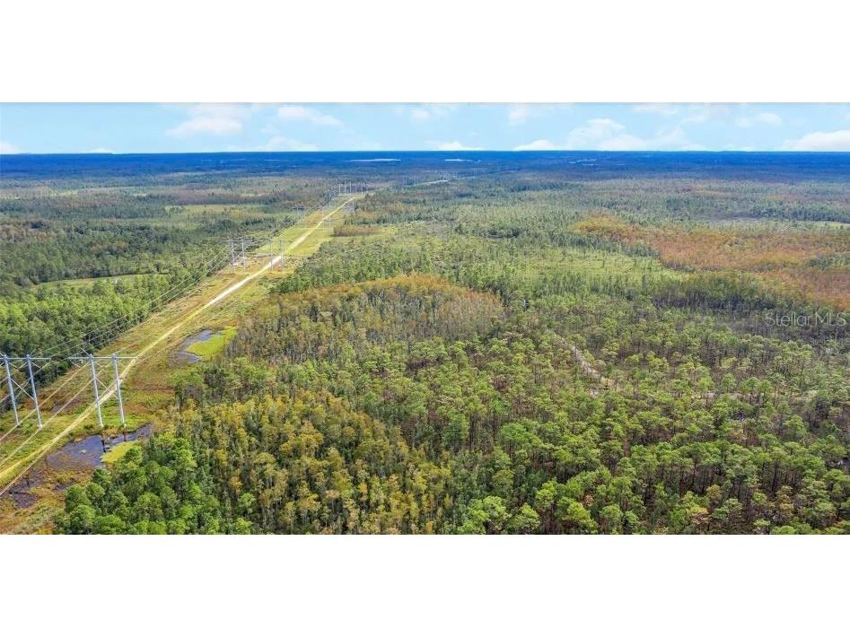 Dill Road Orlando FL 32820 O6300310 image2