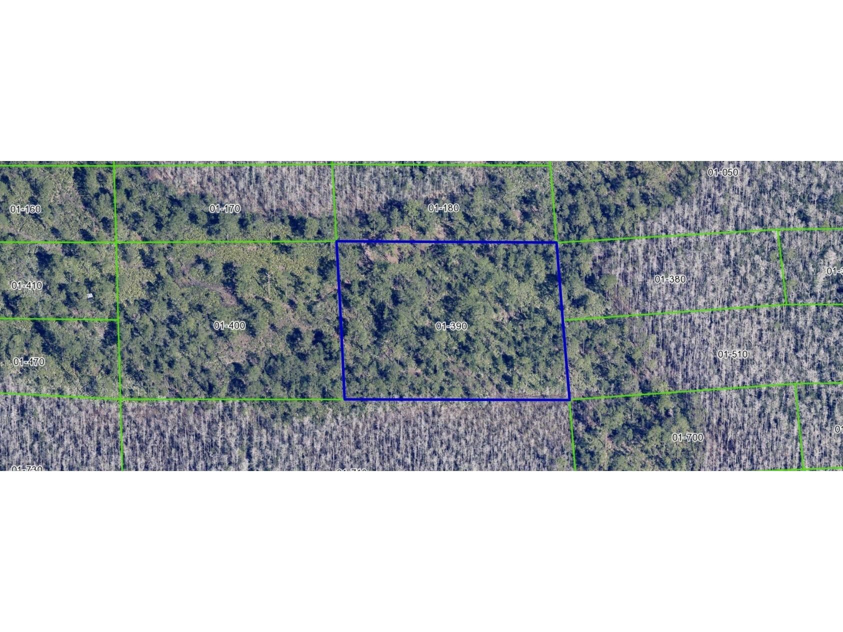 Dill Road Orlando FL 32820 O6330631 image2