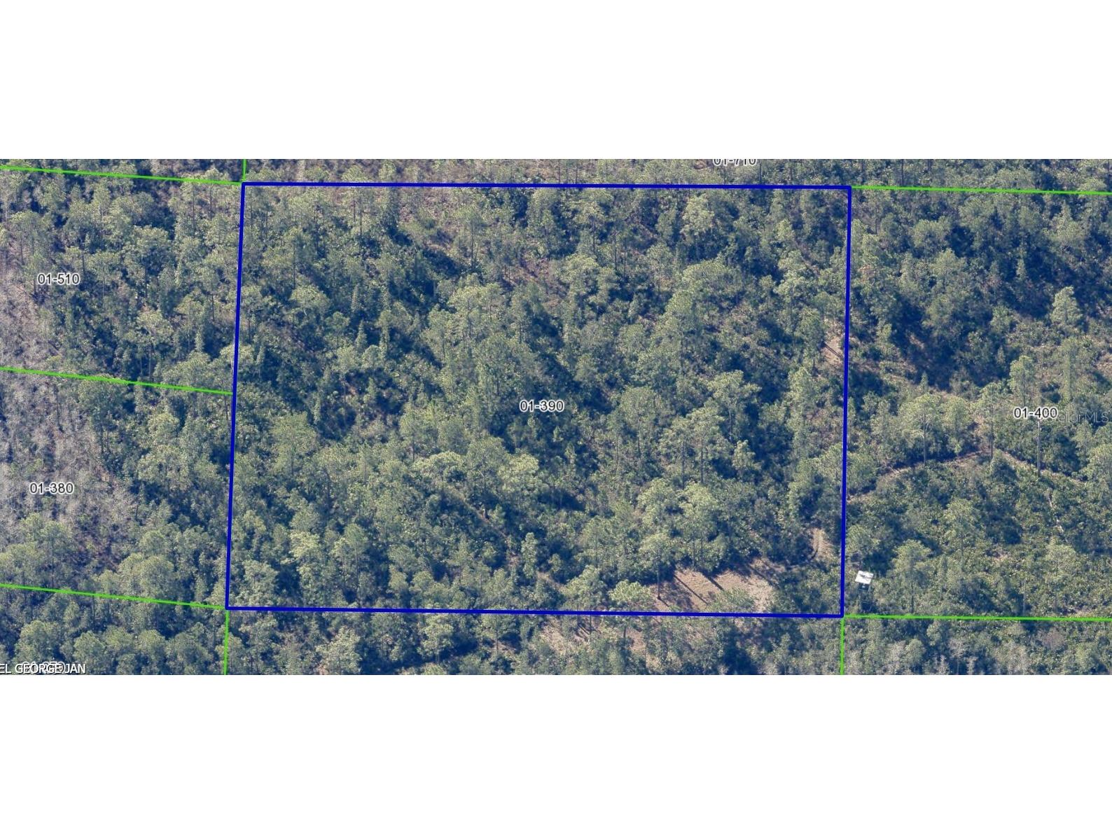 Dill Road Orlando FL 32820 O6330631 image4