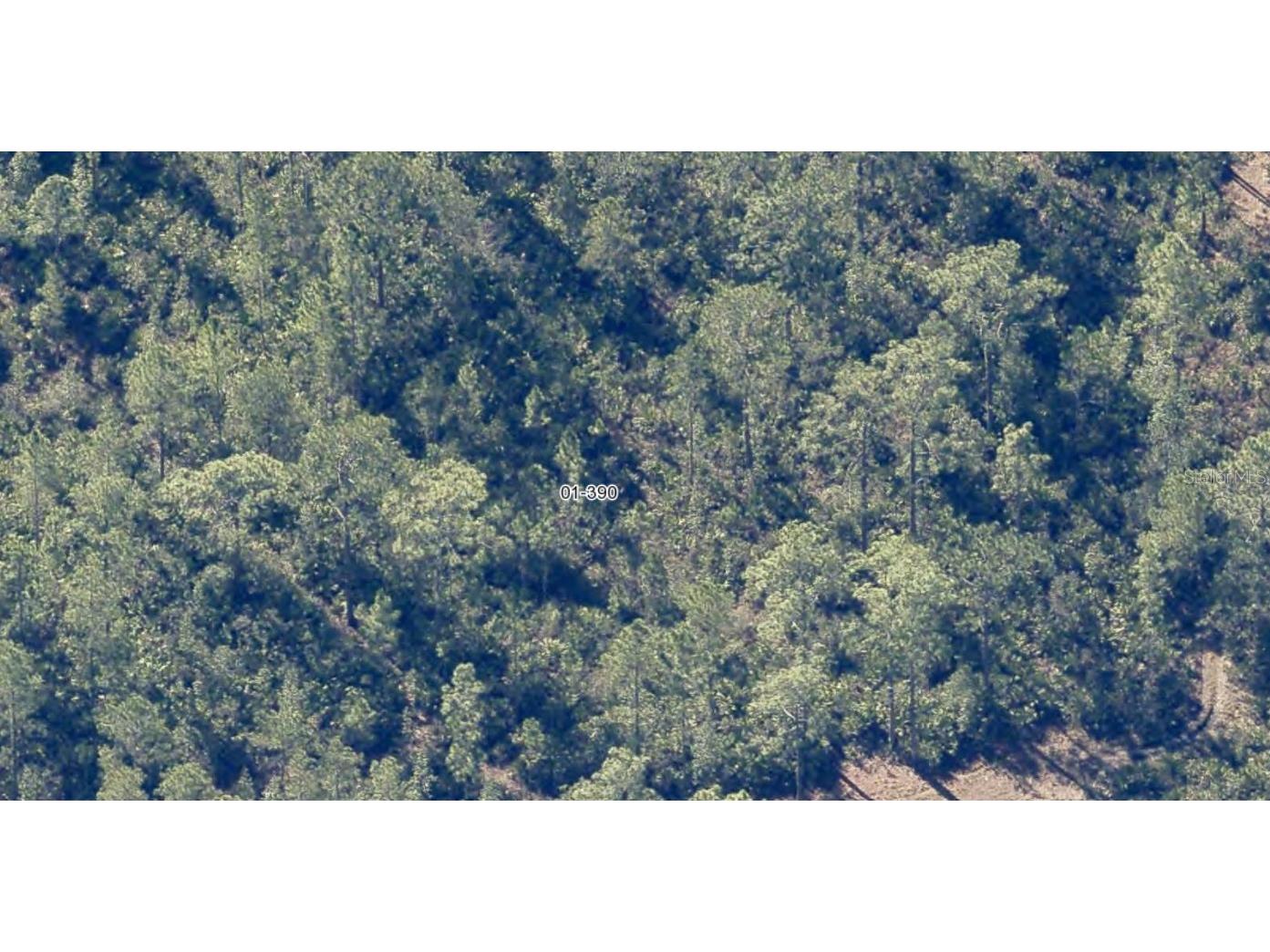 Dill Road Orlando FL 32820 O6330631 image5