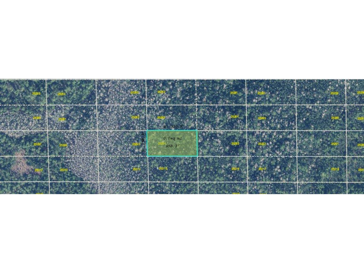 Dill Road Orlando FL 32820 O6354841 image1