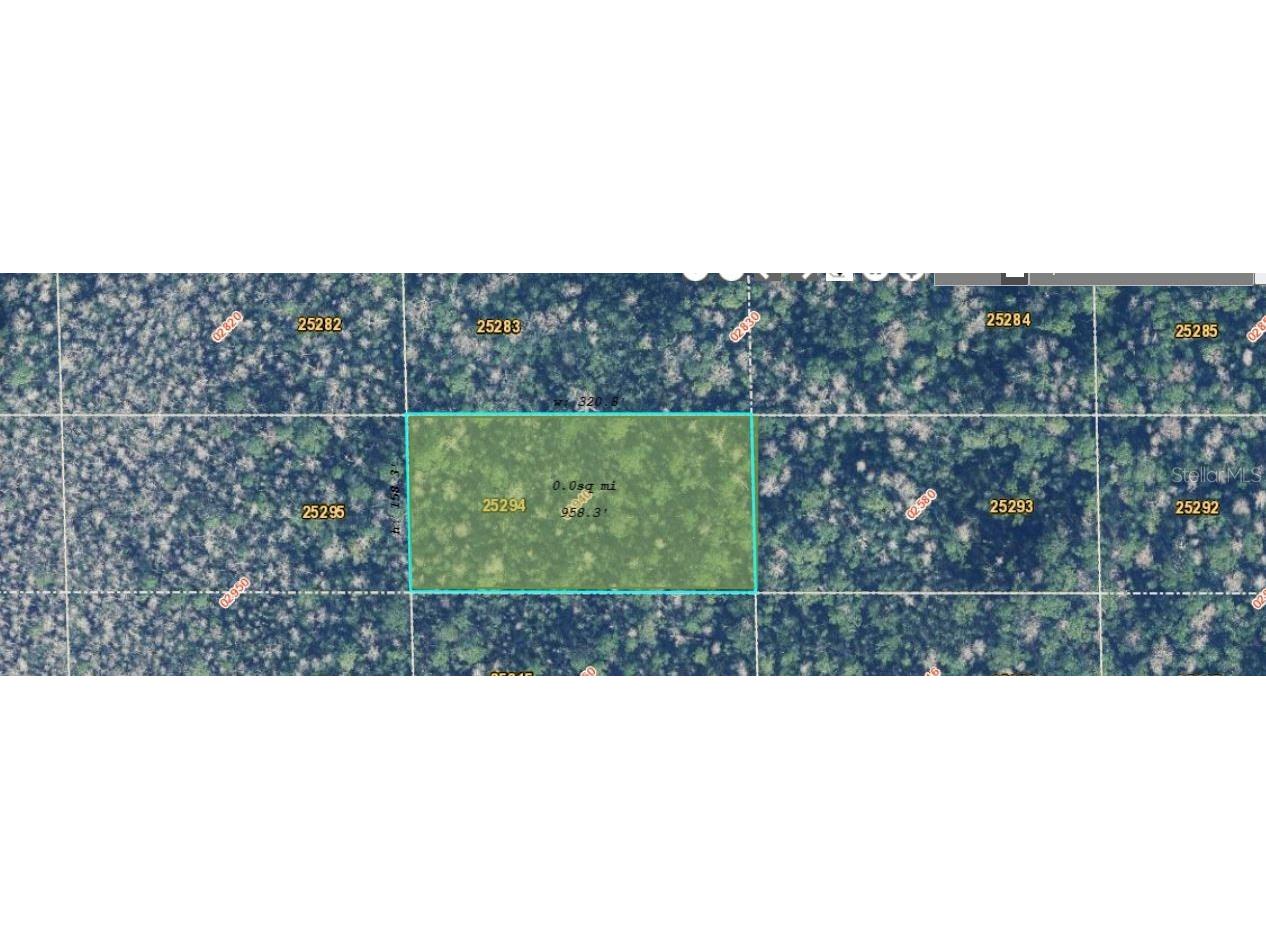 Dill Road Orlando FL 32820 O6354841 image4