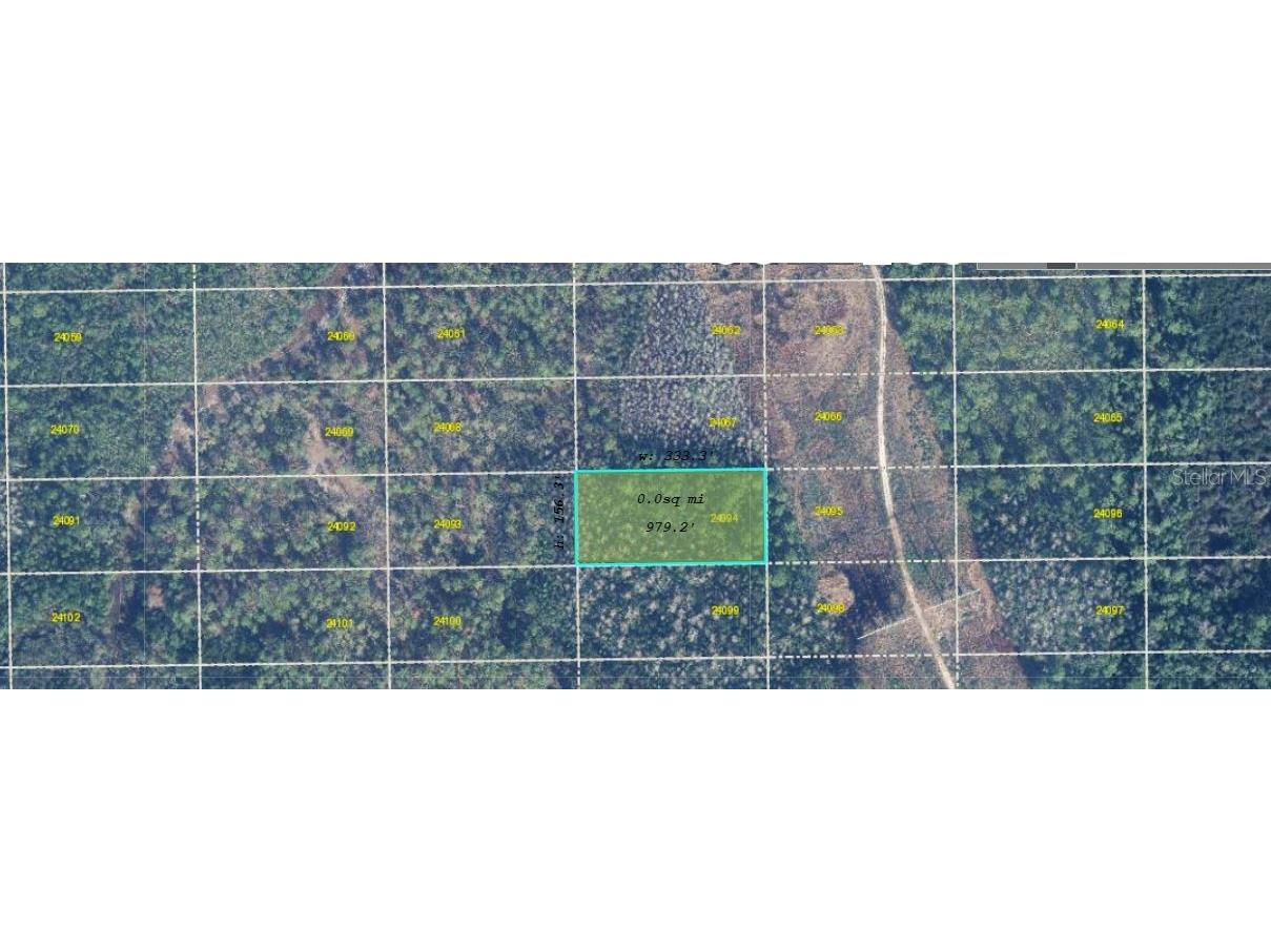 Dill Road Orlando FL 32820 O6360947 image2