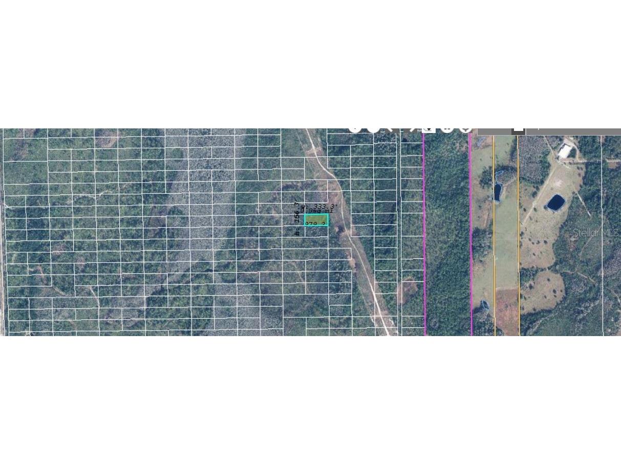 Dill Road Orlando FL 32820 O6360947 image3