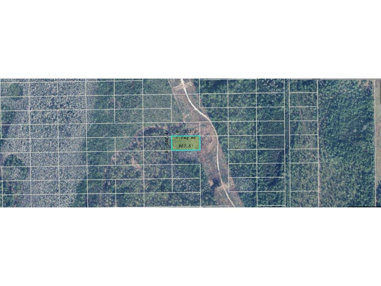 Dill Road Orlando FL 32820 O6360961 image1