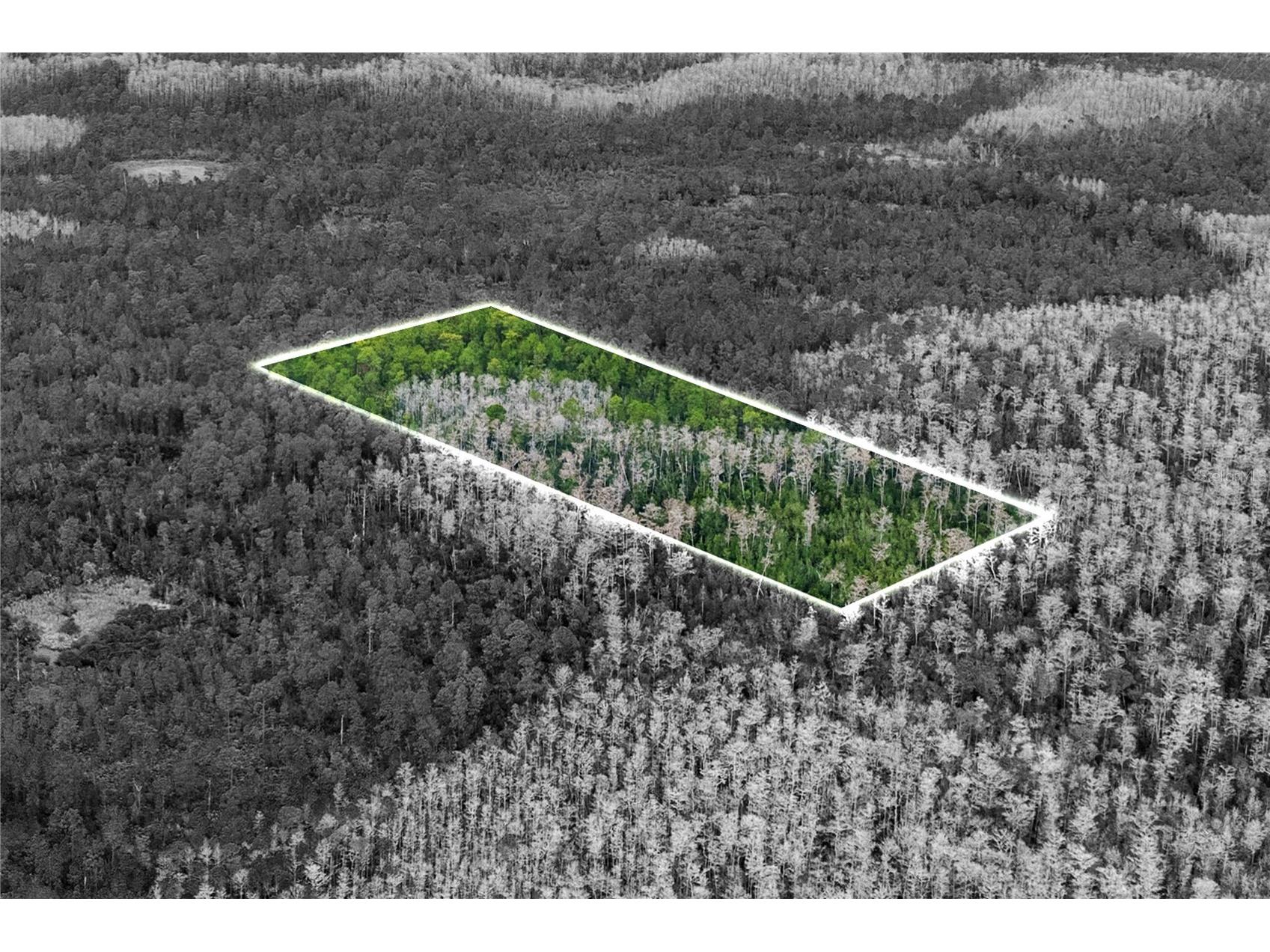 Dill Road Orlando FL 32820 O6383545 image1