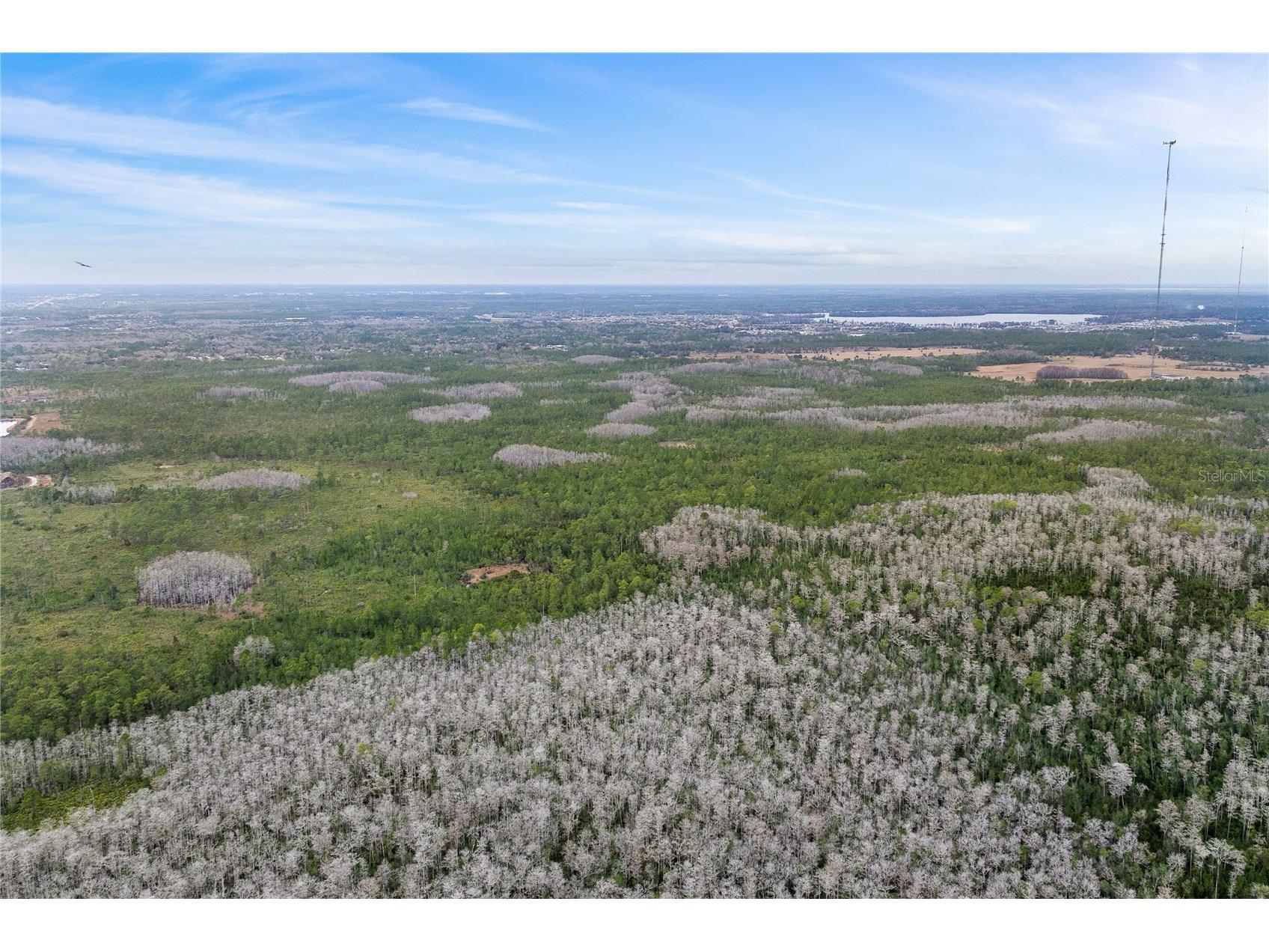 Dill Road Orlando FL 32820 O6383545 image11