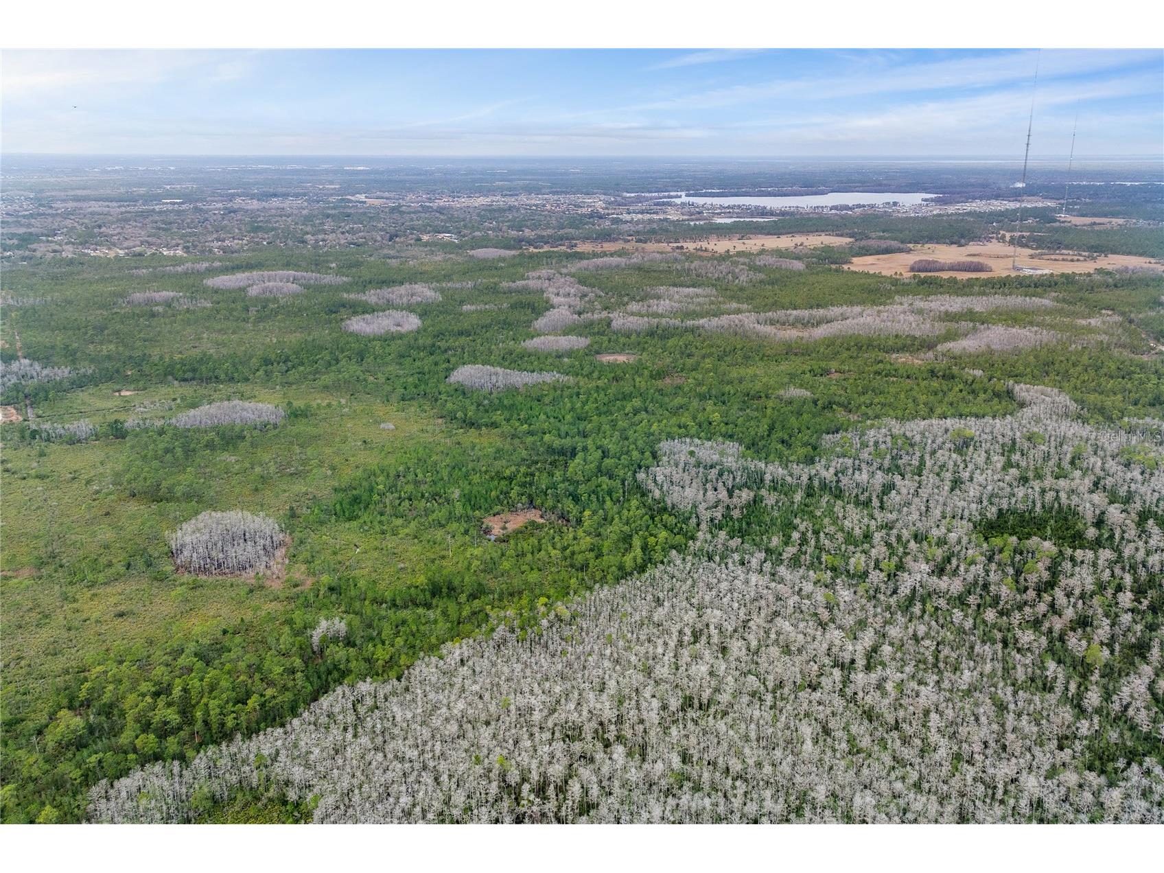 Dill Road Orlando FL 32820 O6383545 image12