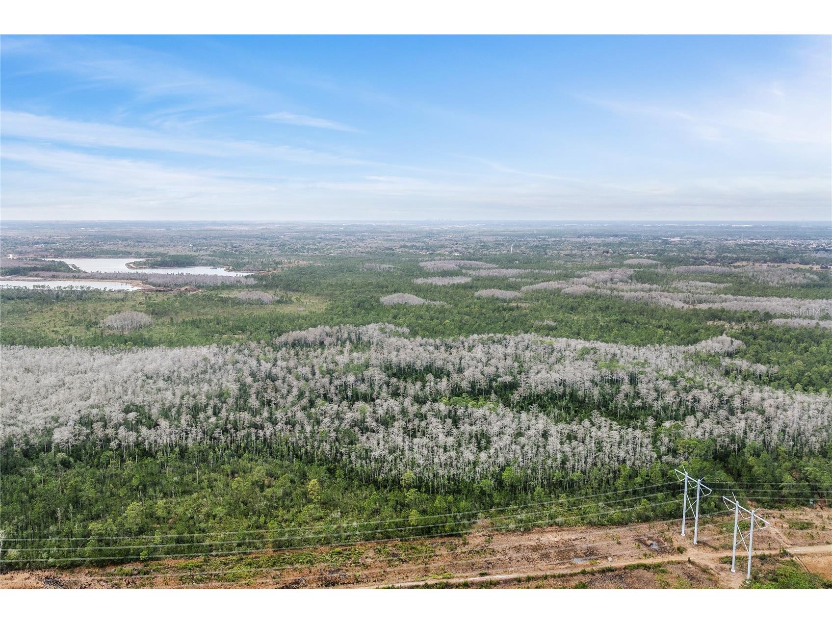 Dill Road Orlando FL 32820 O6383545 image3