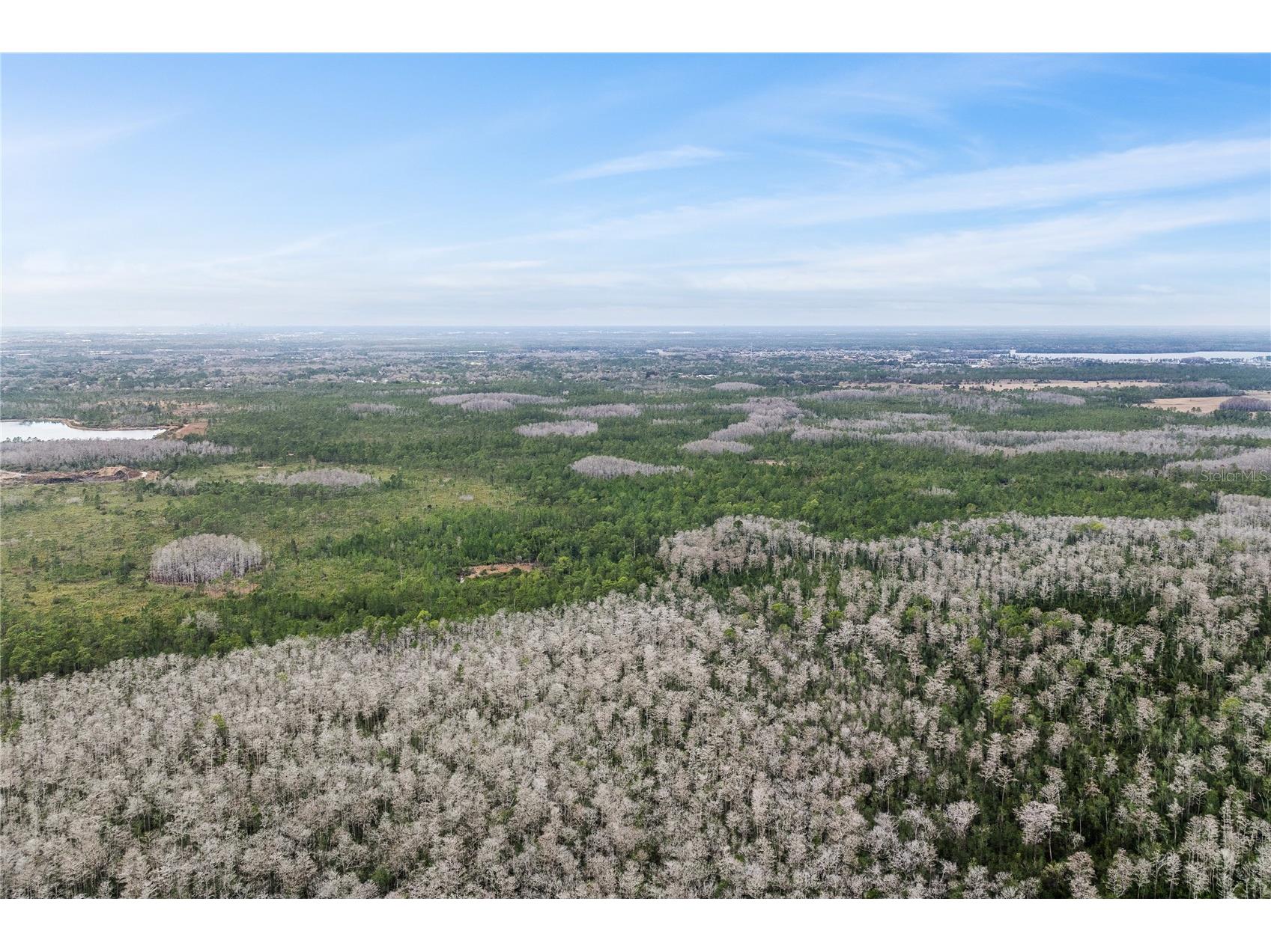 Dill Road Orlando FL 32820 O6383545 image4