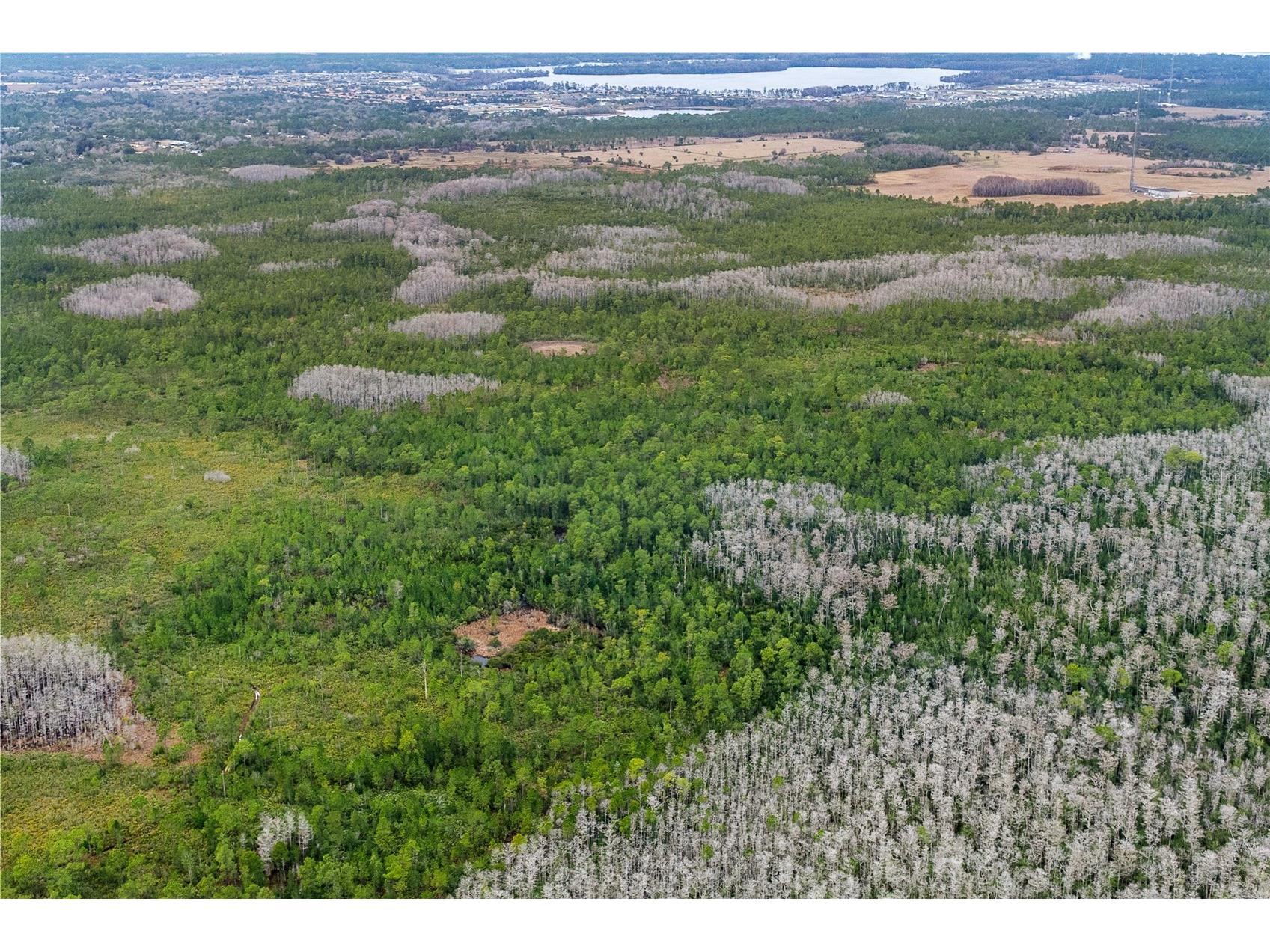 Dill Road Orlando FL 32820 O6383545 image5