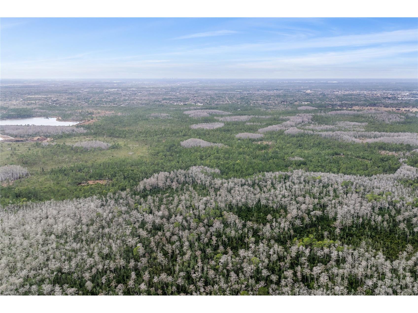 Dill Road Orlando FL 32820 O6383545 image6