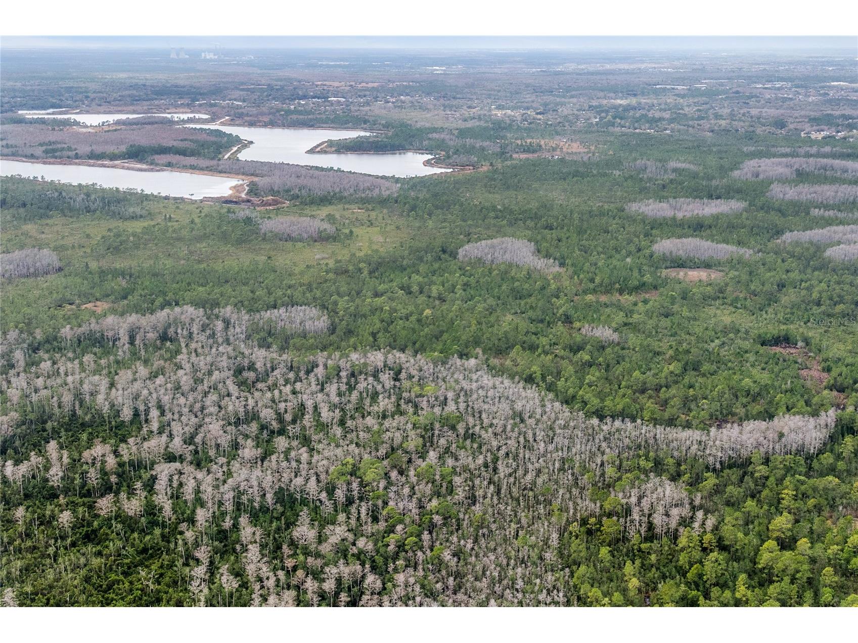 Dill Road Orlando FL 32820 O6383545 image8