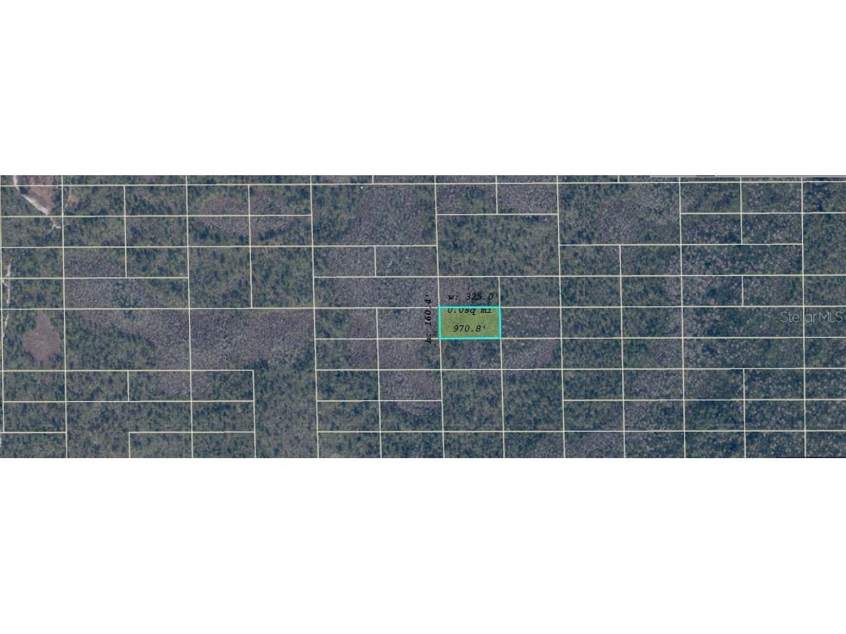 Dill Road Orlando FL 32820 O6416648 image3