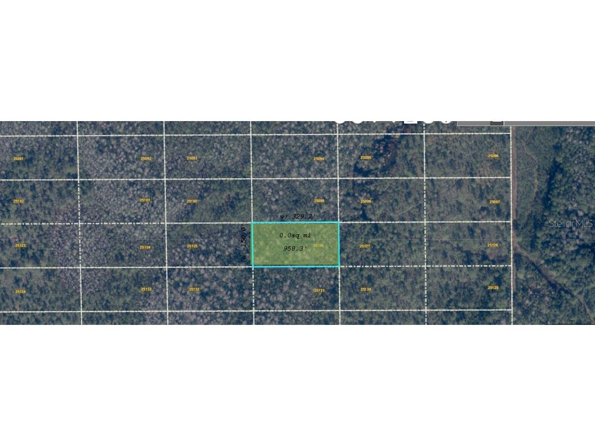 Dill Road Orlando FL 32820 O6416902 image1