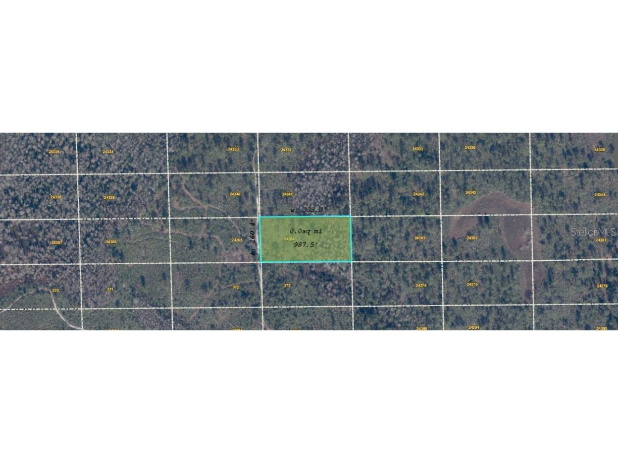 Dill Road Orlando FL 32820 O6416910 image1