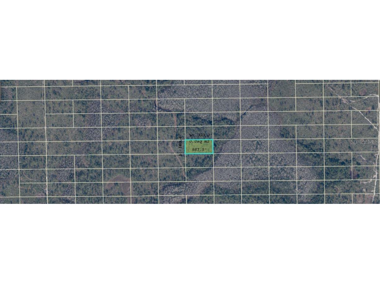 Dill Road Orlando FL 32820 O6416911 image1