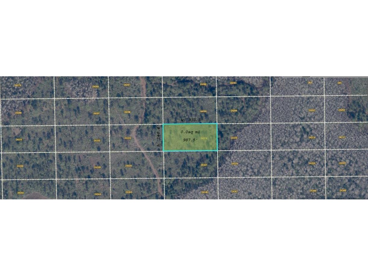 Dill Road Orlando FL 32820 O6416911 image3