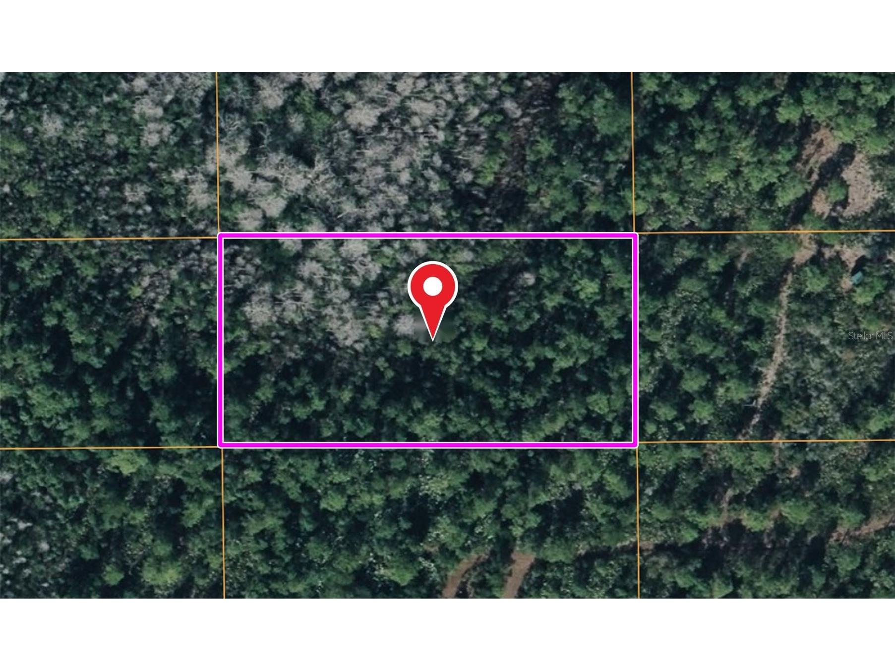 Dill Road Orlando FL 32820 O6420319 image1