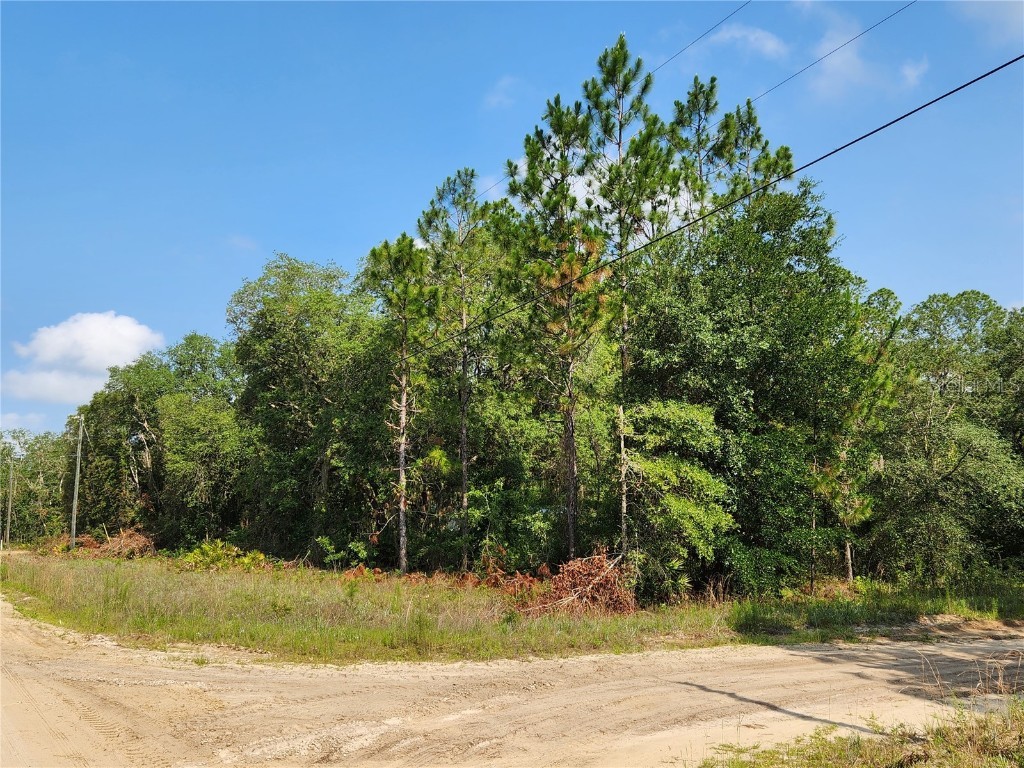 Dines Avenue Interlachen FL 32148 OM659935 image1