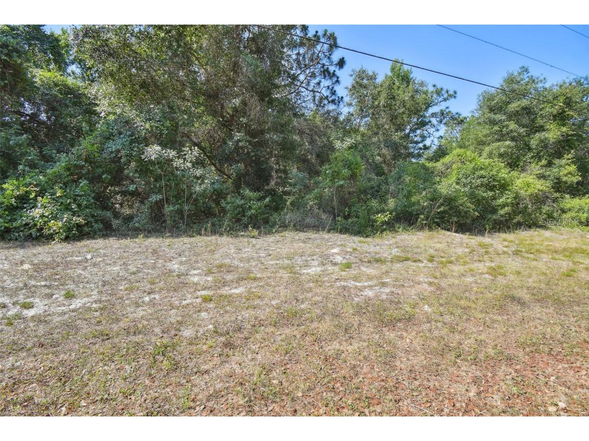 Dion Ave New Port Richey FL 34654 T3524930 image1