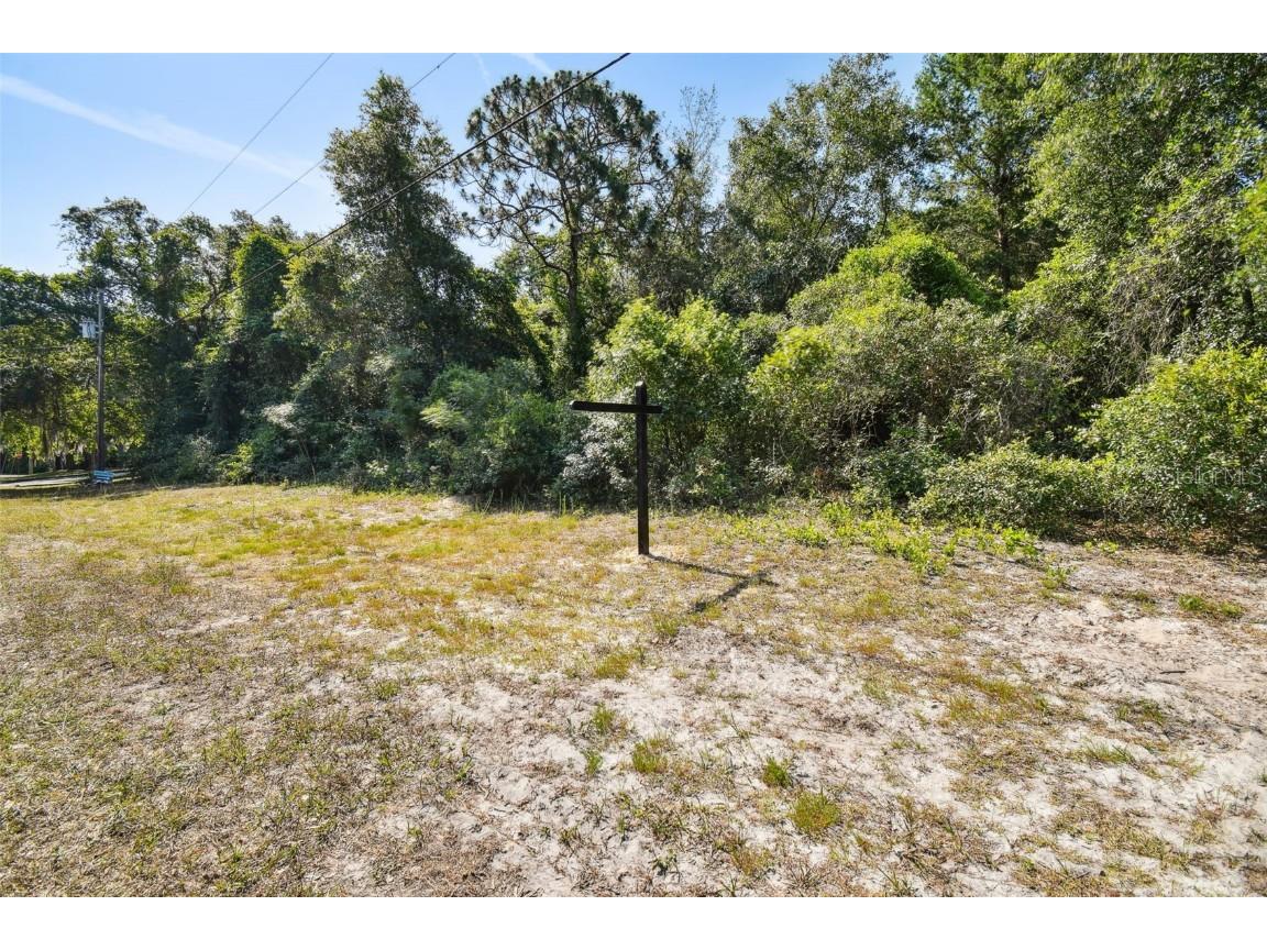 Dion Ave New Port Richey FL 34654 T3524932 image1