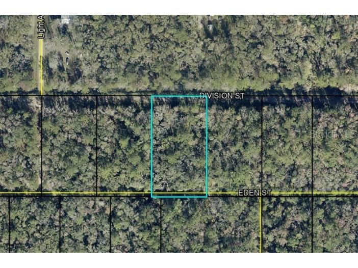 Division Street Hastings FL 32145 FC319592 image1