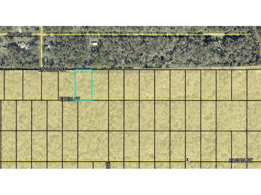 Division Street Hastings FL 32145 FC319592 image3