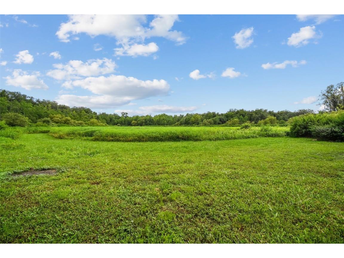 Dixie Avenue Dade City FL 33525 TB8356183 image8