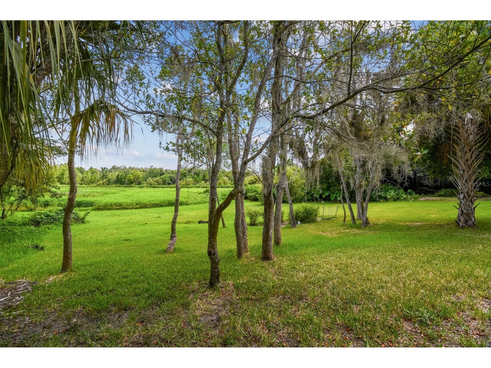 Dixie Avenue Dade City FL 33525 TB8481408 image7