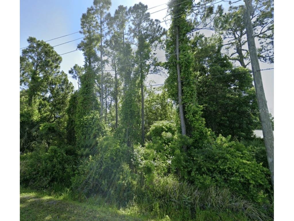 Dobbs Road Saint Augustine FL 32086 GC533824 image3