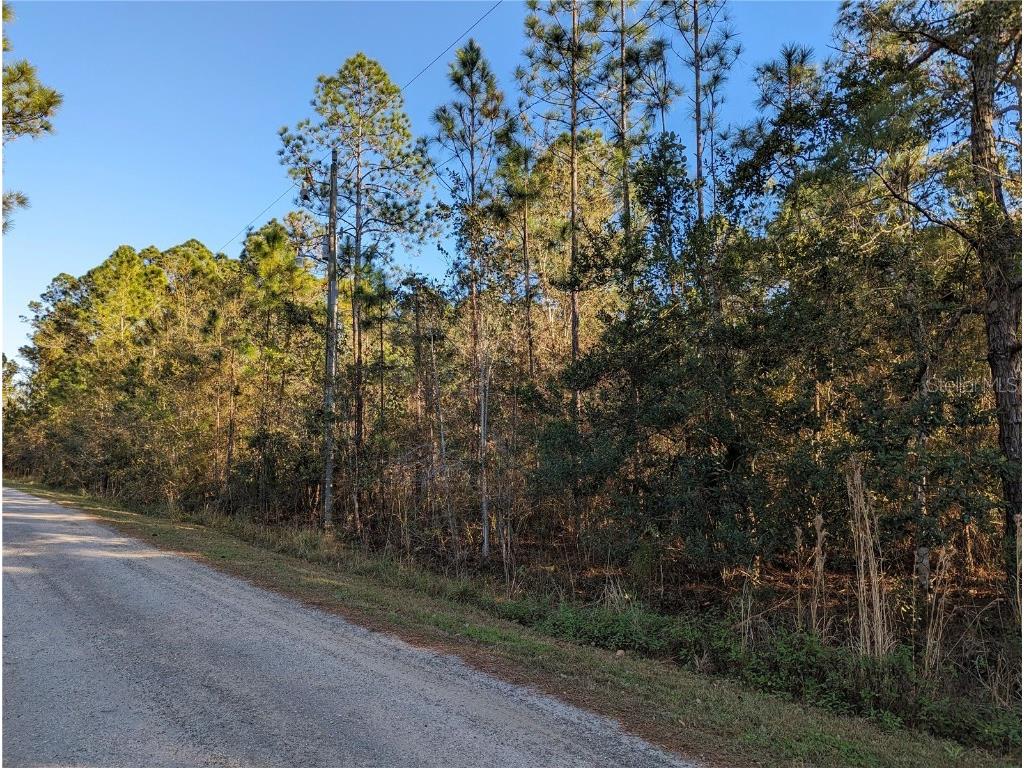 Dog Leg Trail Osteen FL 32764 O6182253 image1