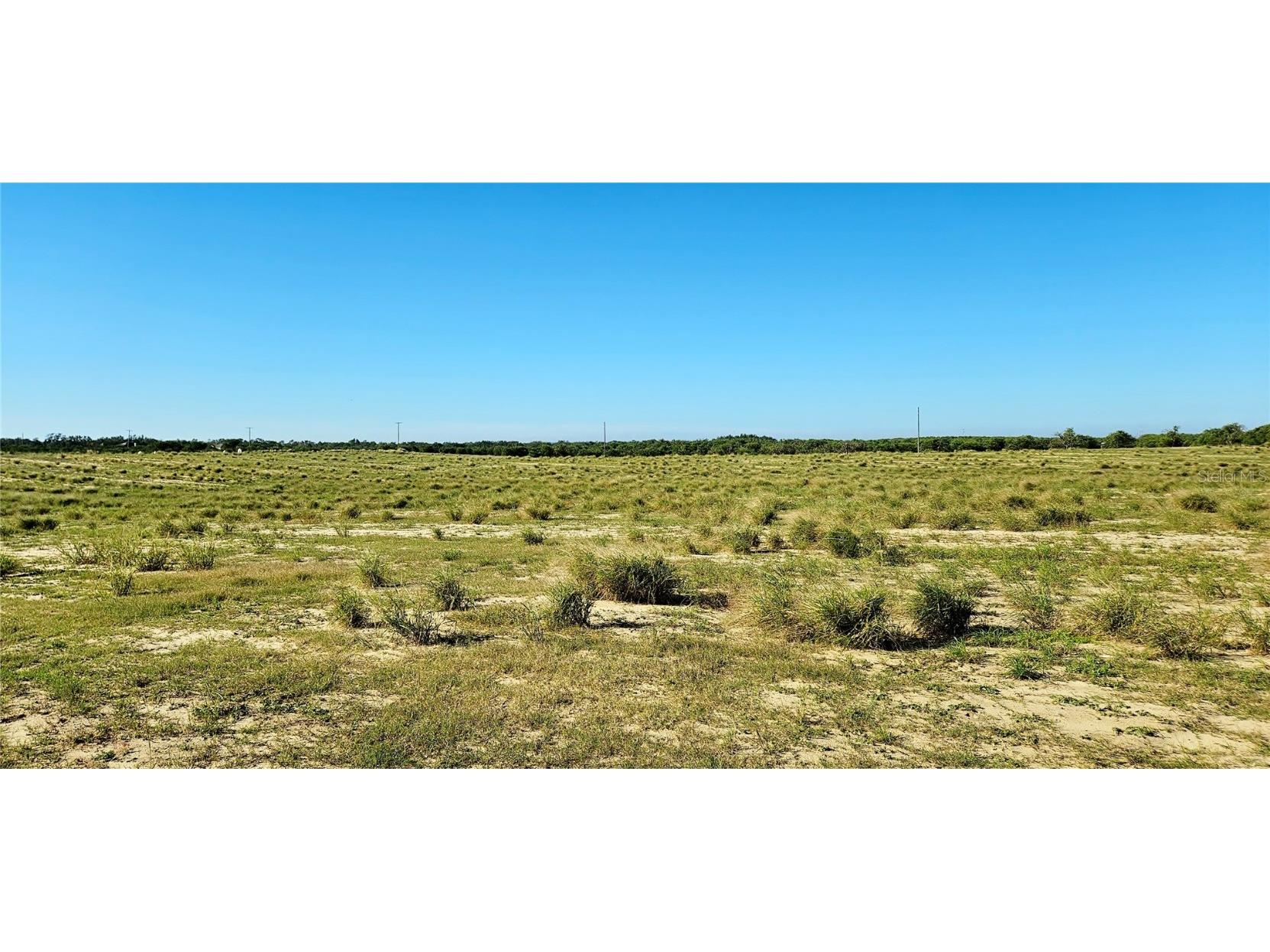 Dog Yard Road Lake Wales FL 33898 L4957955 image4
