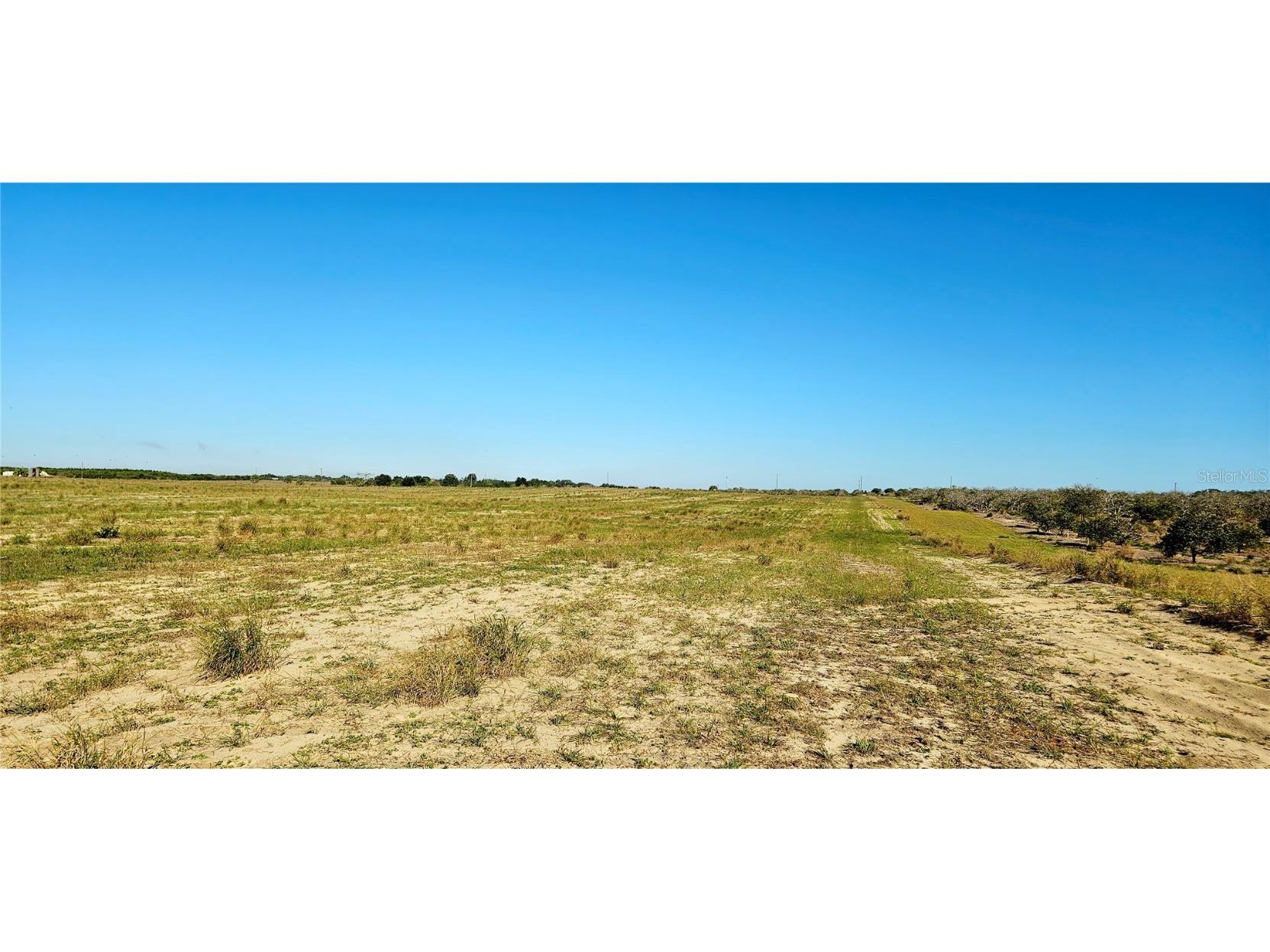 Dog Yard Road Lake Wales FL 33898 L4957955 image6