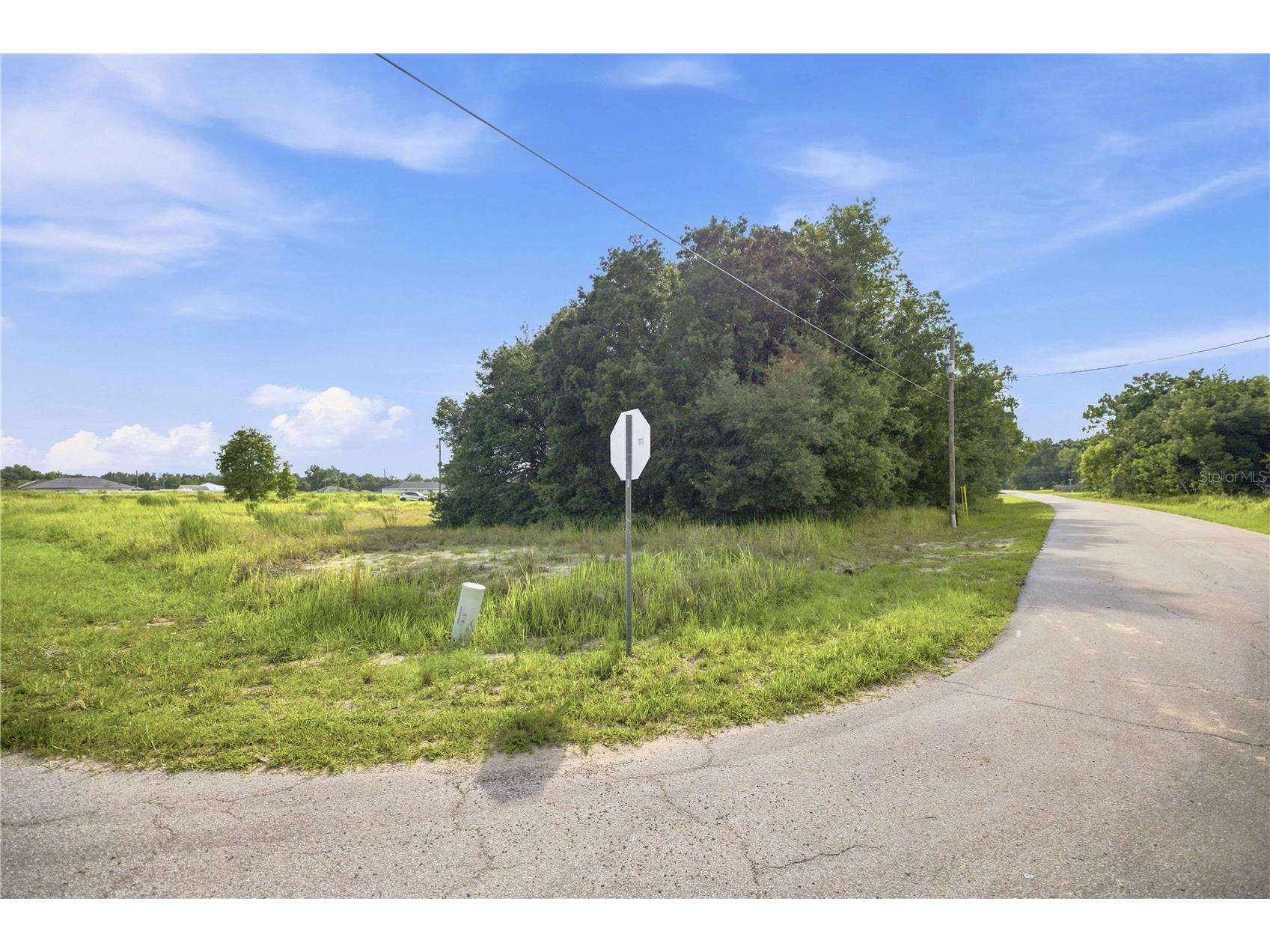 Dogwood Dr Ct Ocala FL 34472 OM728611 image11
