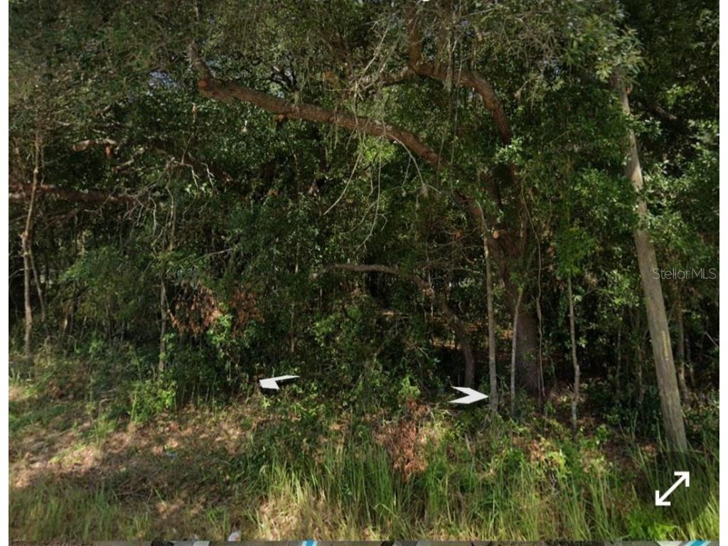 Dogwood Drive Loop Ocala FL 34472 OM659162 image1