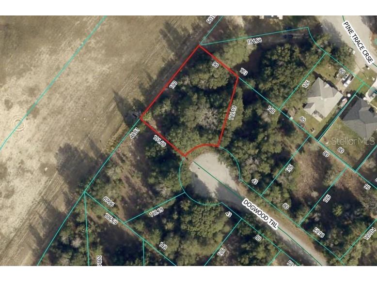 Dogwood Trail Ocala FL 34472 S5146414 image2
