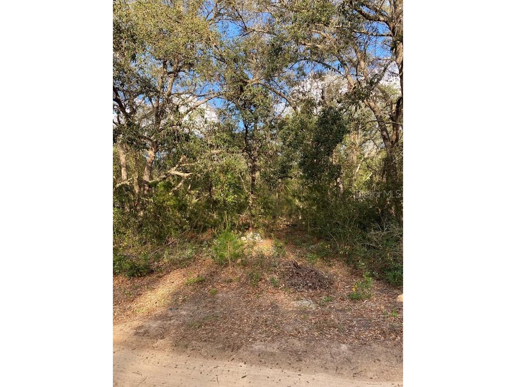 Dogwood Way Lady Lake FL 32159 G5094033 image1