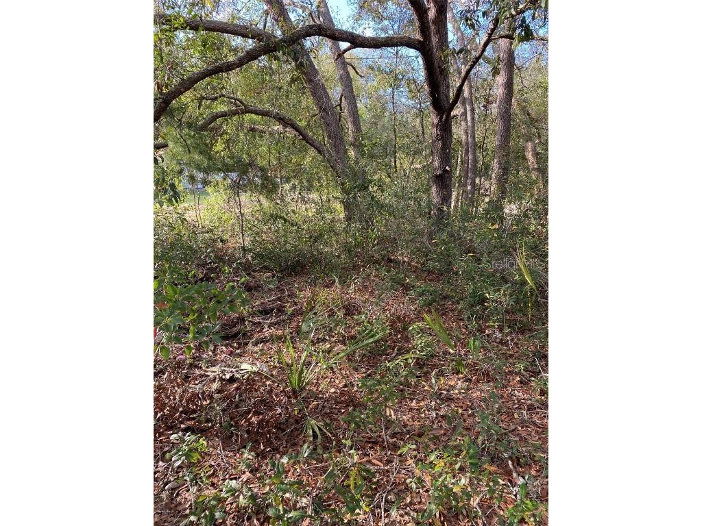 Dogwood Way Lady Lake FL 32159 G5094033 image3