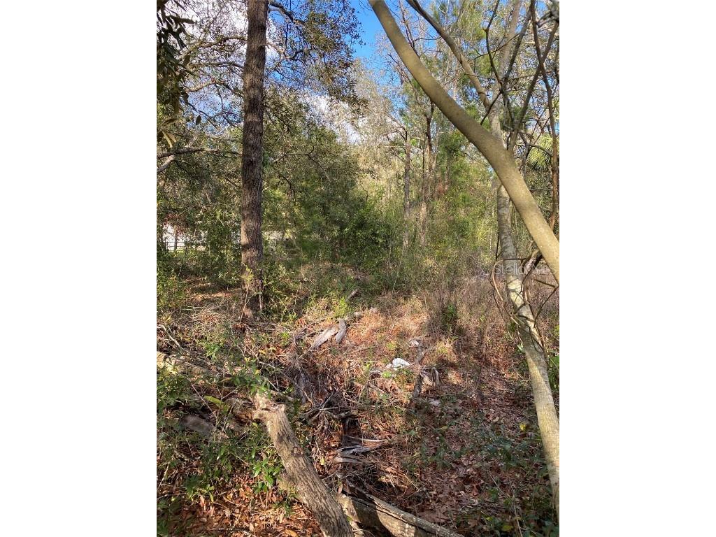 Dogwood Way Lady Lake FL 32159 G5094033 image4