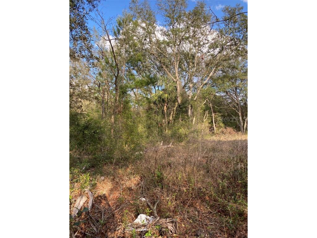 Dogwood Way Lady Lake FL 32159 G5094033 image5